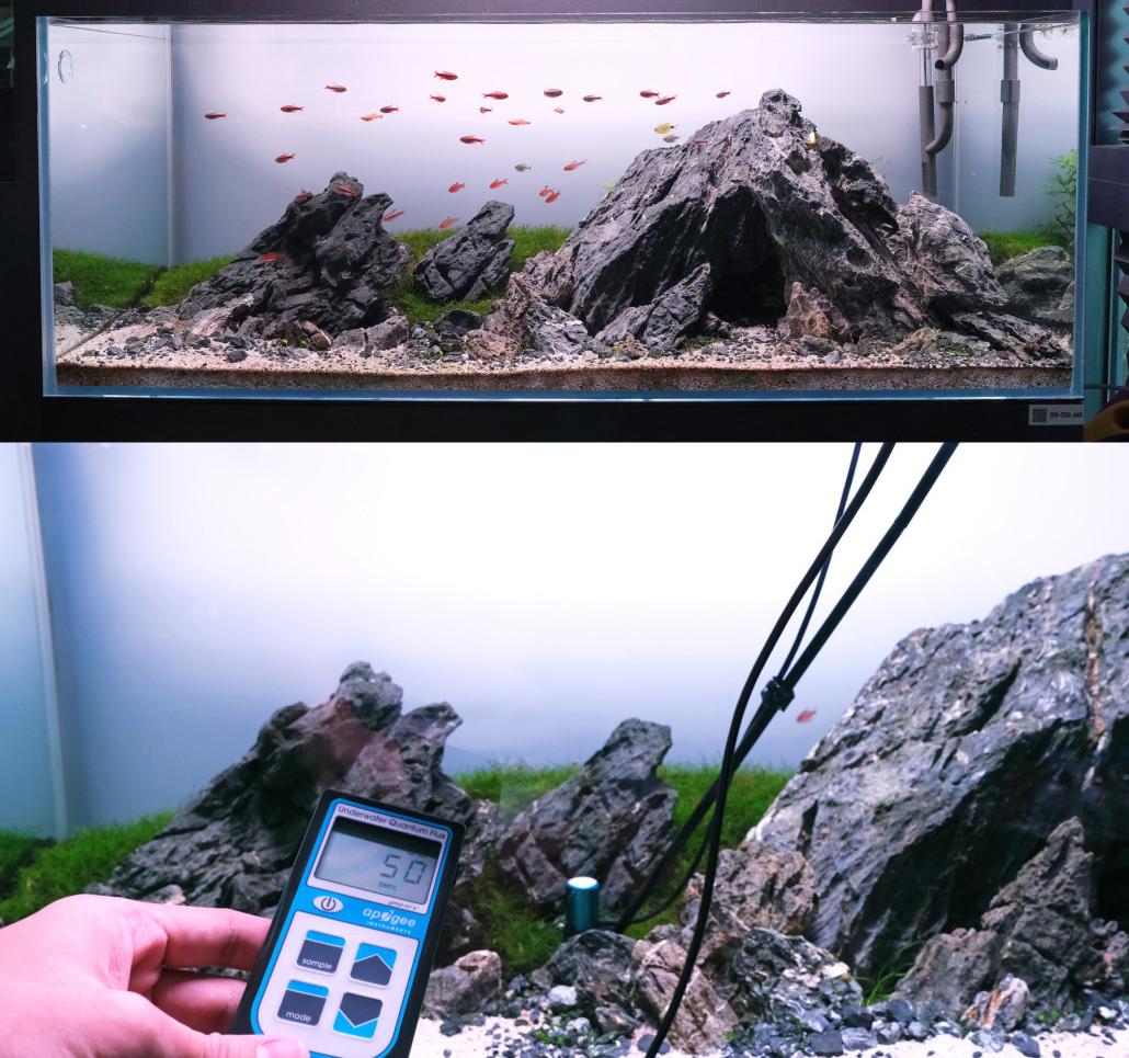 PAR measurement in an Iwagumi aquascape