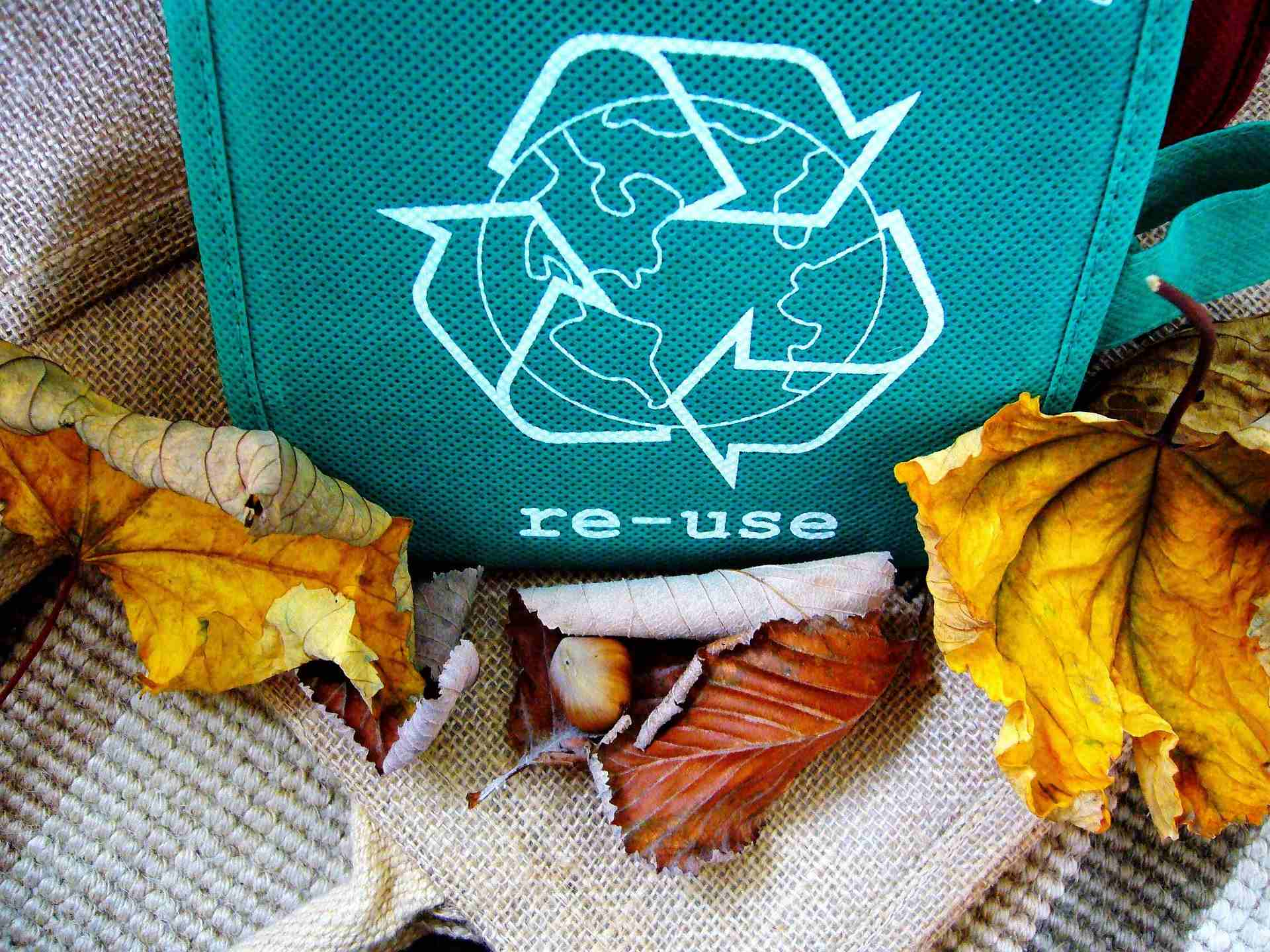 Reusable bag