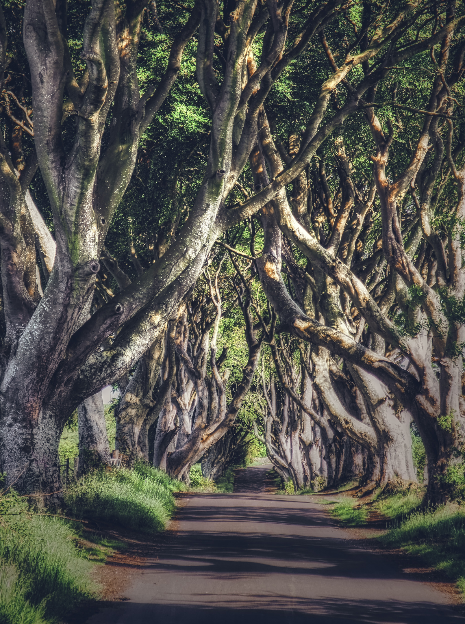 Game of Thrones Filming Location: Ballymoney