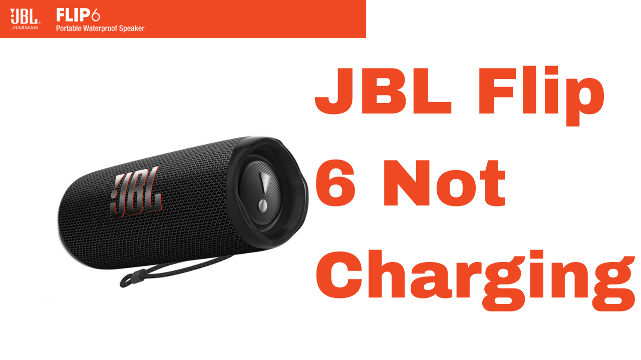 JBL Flip Not Charging Problem
