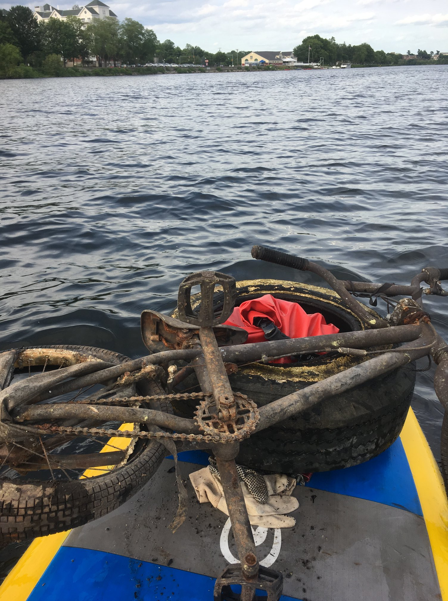 waterway clean up on a sup board