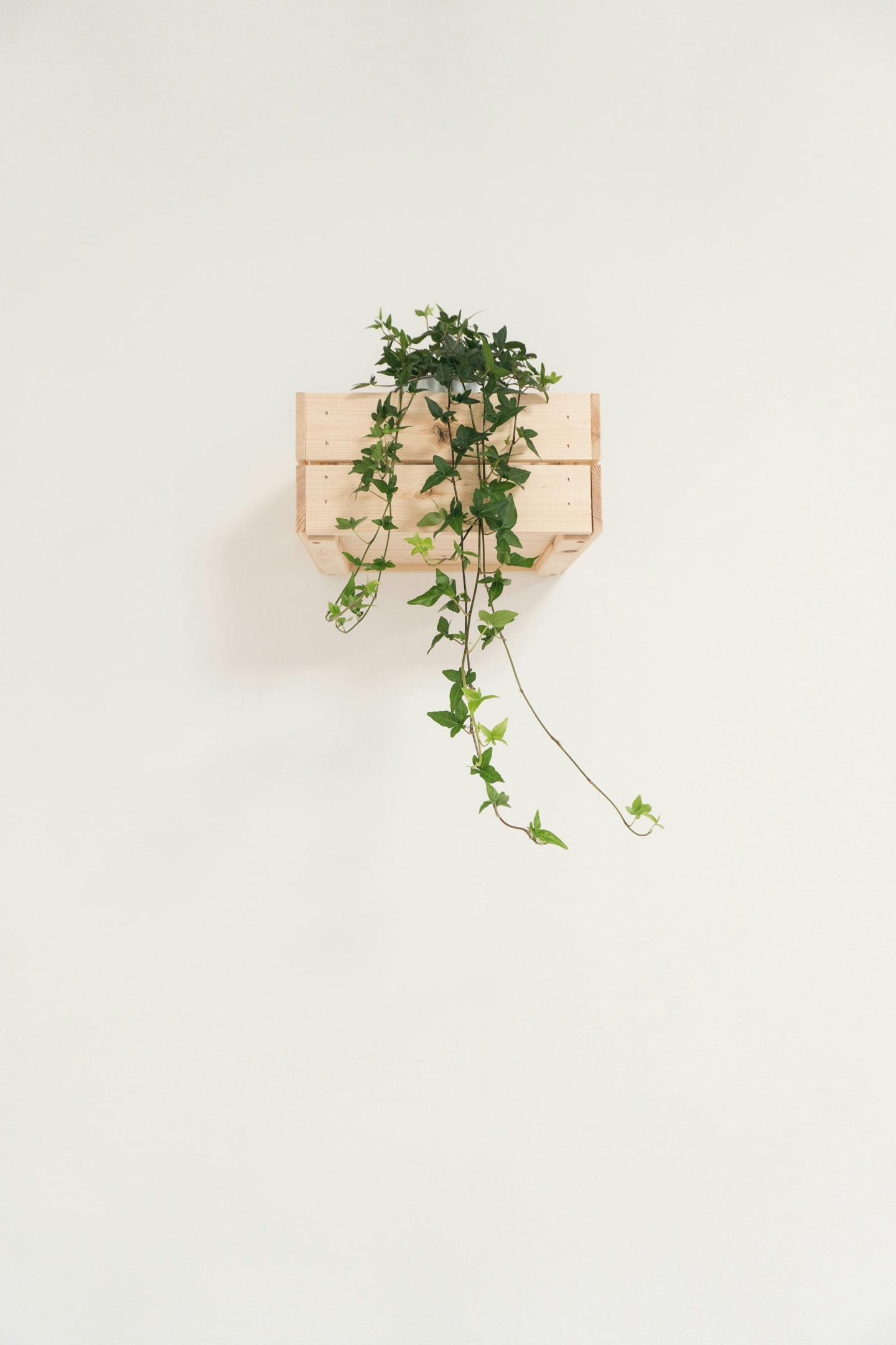 DIY Vertical Gardens