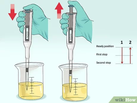 Illustration of proper pipetting technique