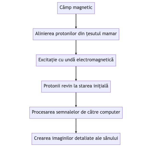 RMN San,rmn mamar,rmn mamar pret,rmn san bilateral,RMN mamar bilateral,RMN san cu substanta de contrast,RMN mamar cu substanta de contrast,rmn de san diagrama procedura rmn de sân