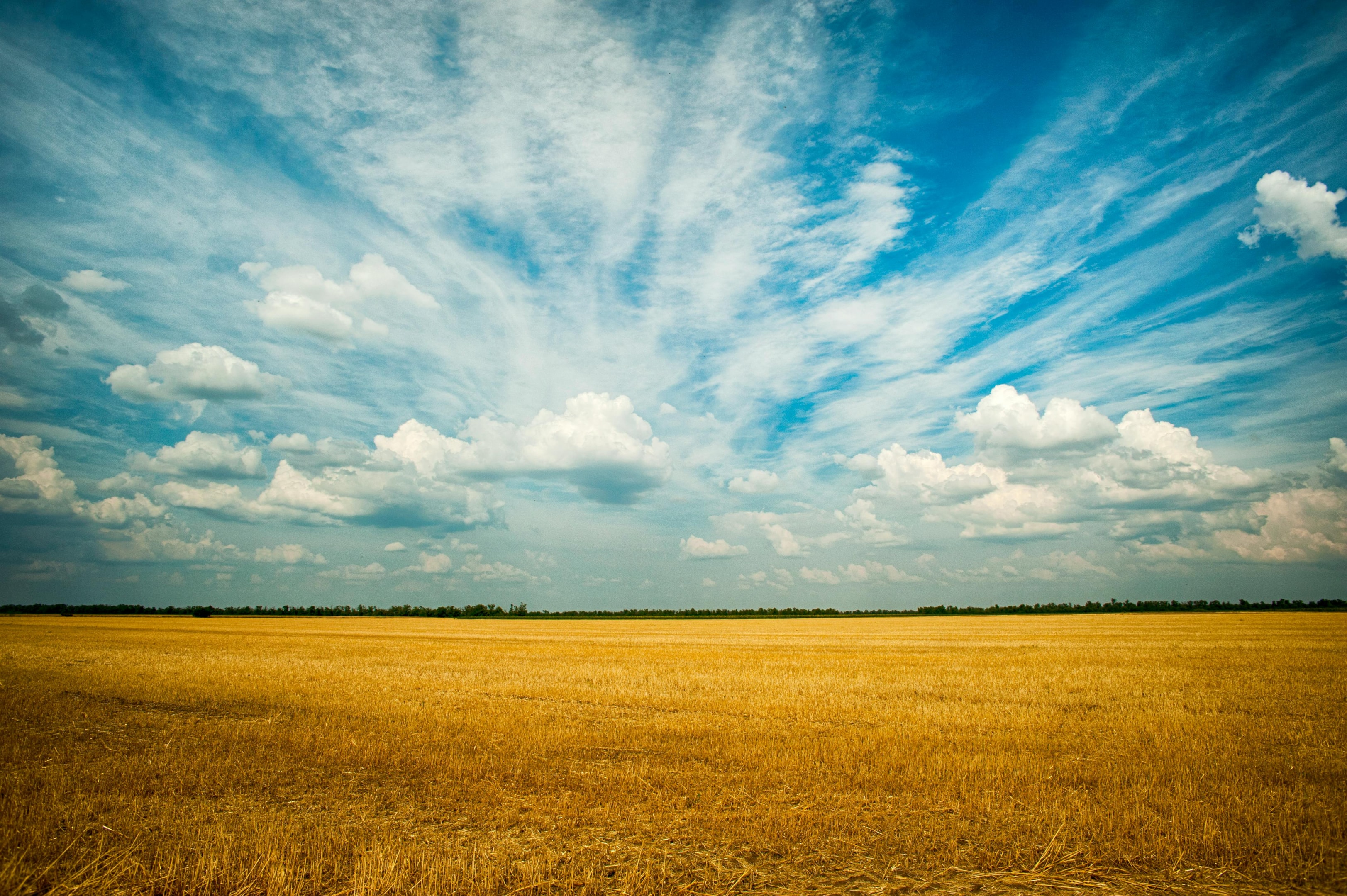 what are mineral rights