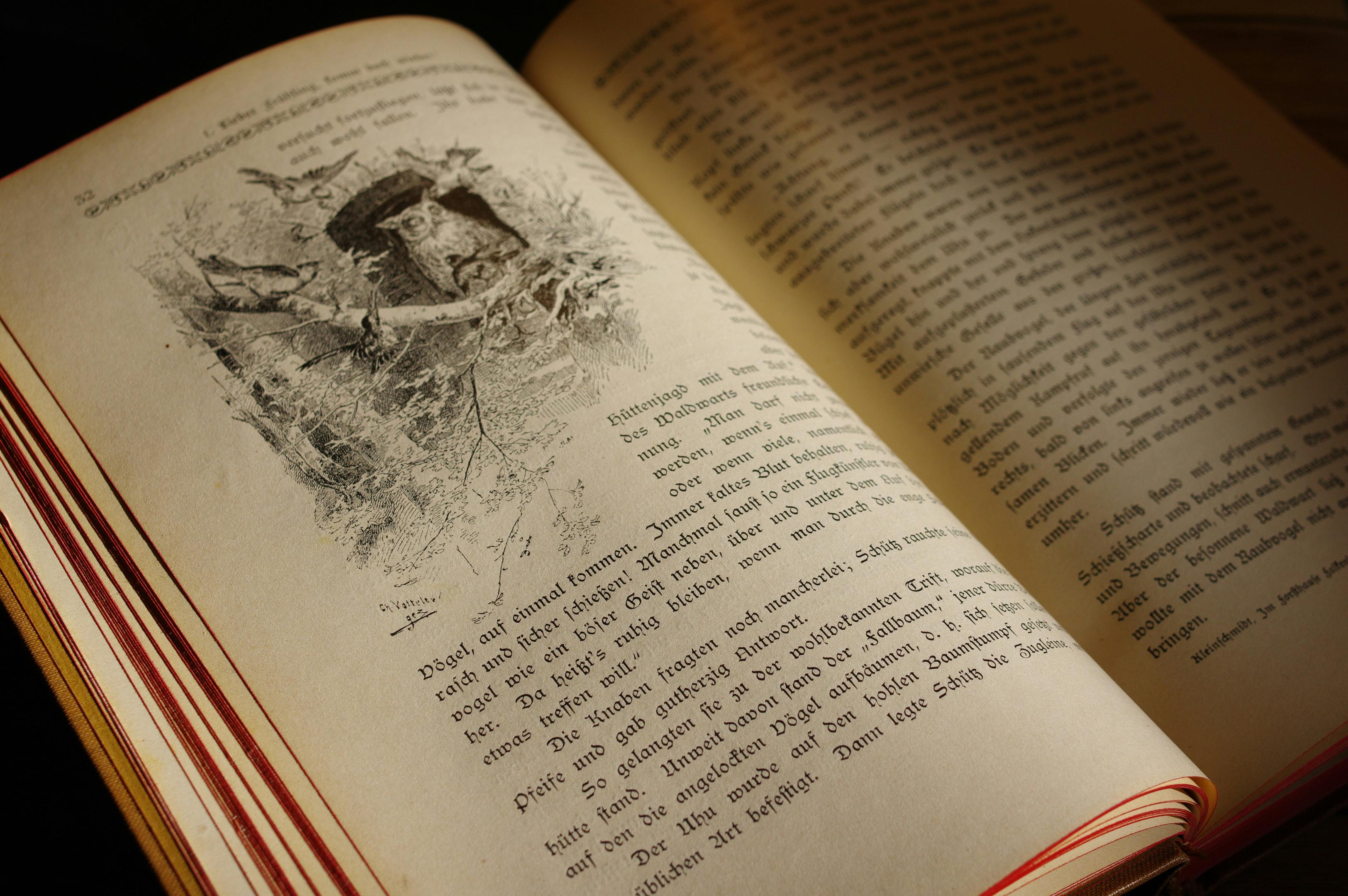 Na drewnianym stole leży otwarta, vintage książka z ilustracjami bajek, które przyciągają uwagę swoją magią i oryginalnością. Wśród opowieści można znaleźć klasyki baśni Andersena, takie jak "brzydkie kaczątko" czy "mała syrenka", które rozweselają dzieci i wspierają ich rozwój emocjonalny.