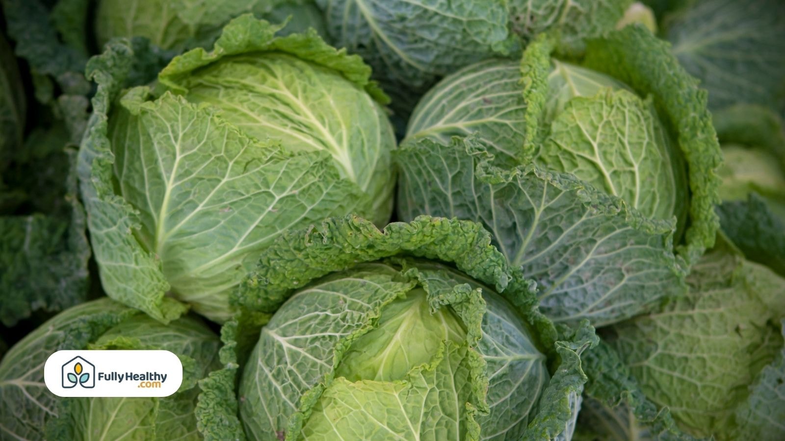 Fresh green cabbages with textured leaves stacked together