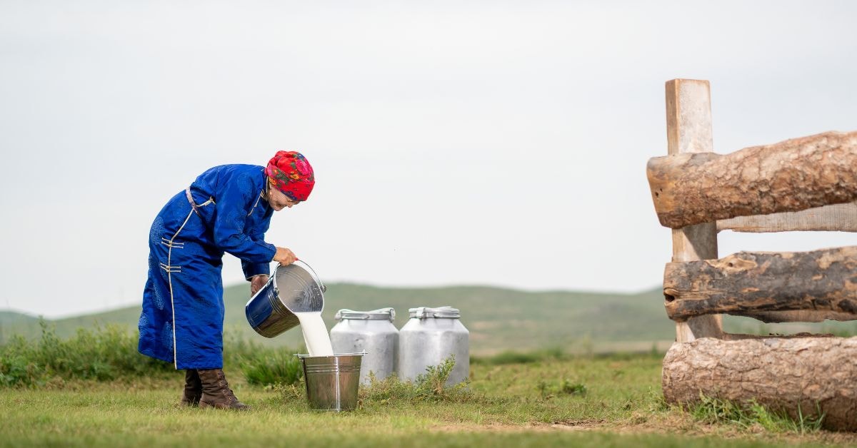 Mongolian nomad family