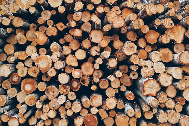 wood, pile, logs