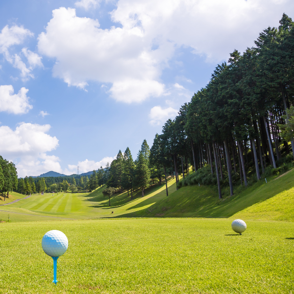 Image illustrating a pruned tree on a golf course improving visibility.