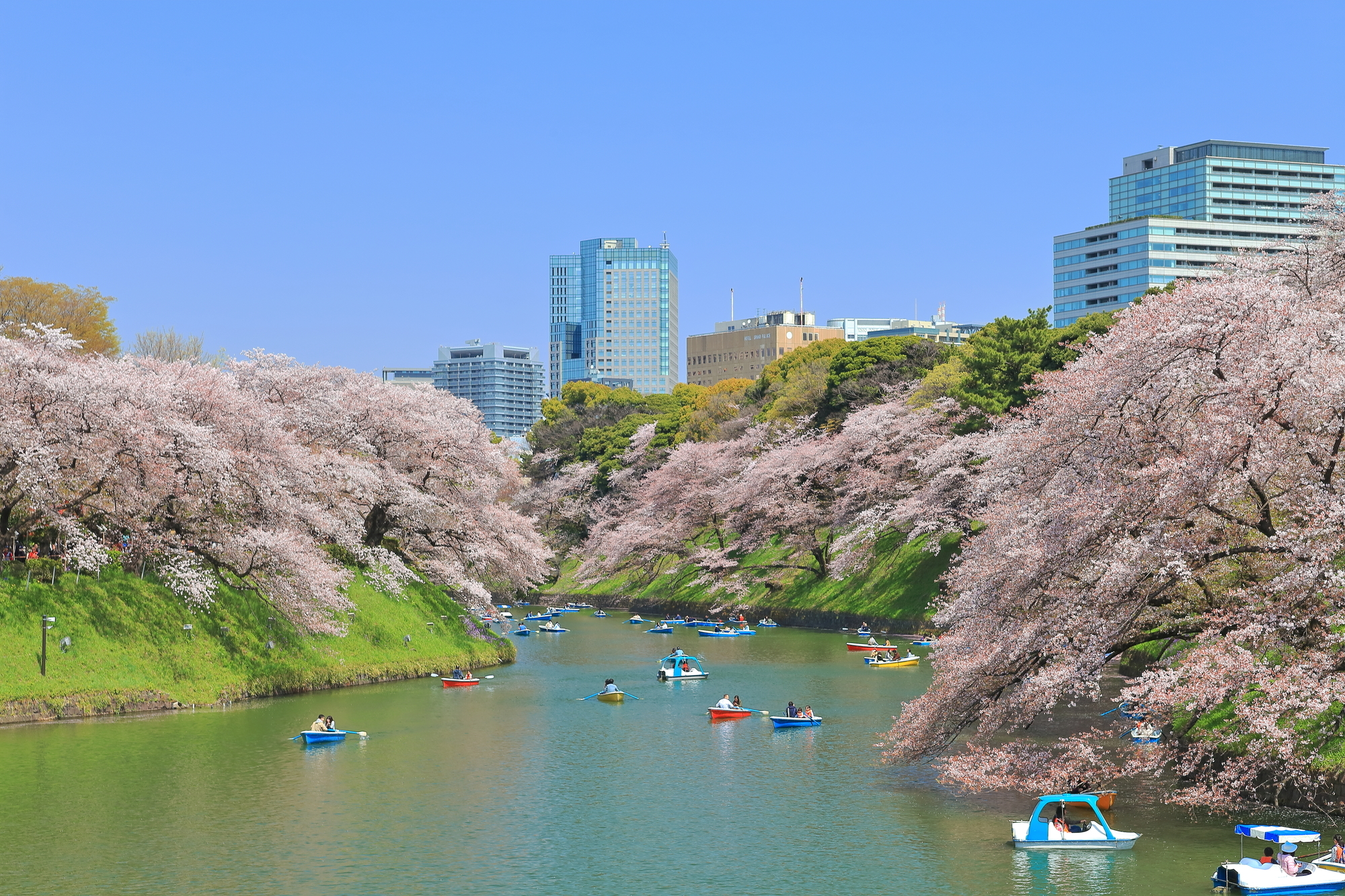 Chidorigafuchi Green Way