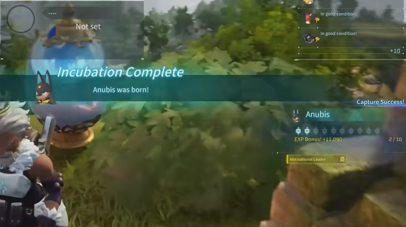 Hatching and Obtaining Anubis in Palworl