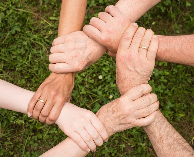 partnership, community, collaboration