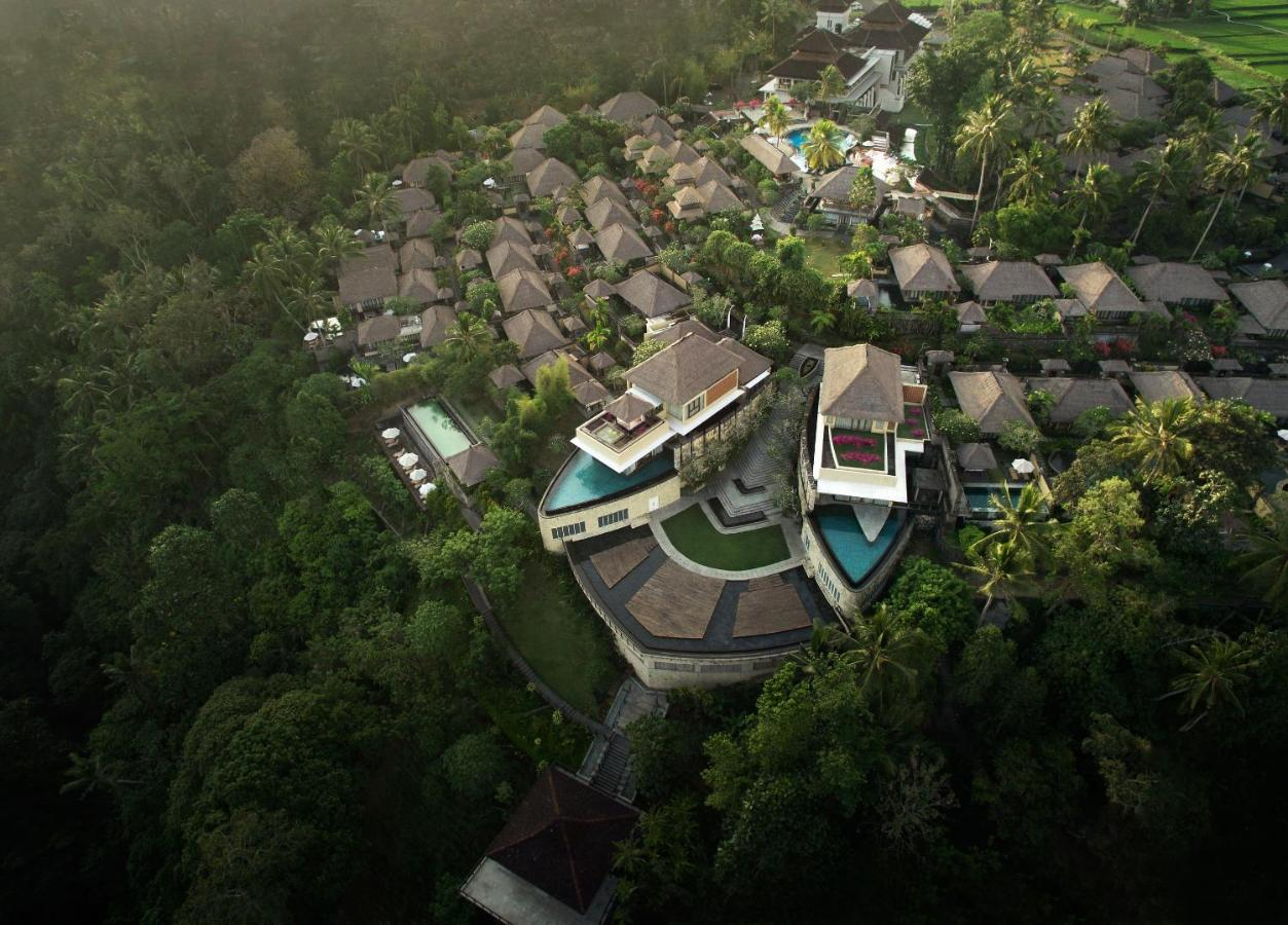 bali jungle hotels