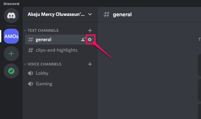 Picture illustrating the Edit Channel setting button on Discord