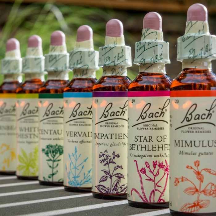 Close-up of Bach Flower Remedy bottles arranged in a line with detailed labels visible.