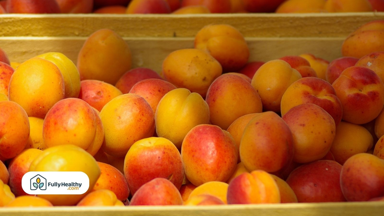 Fresh apricots in a basket with a mix of yellow and red skin