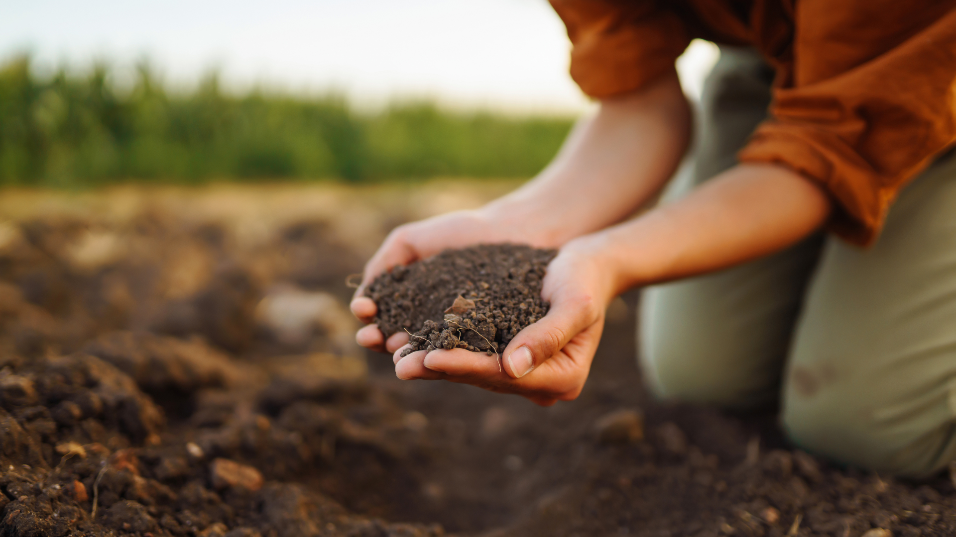 Healthy Soil