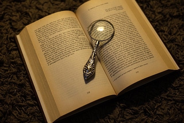 magnifying glass, book, old book, investigating, investigation, pages, writing, write, poem, mystery, thriller, horror, focus, investigation, investigation, investigation, investigation, investigation, poem, thriller, thriller
