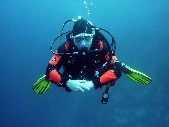 Discover underwater world