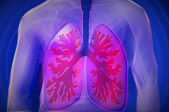 A graphical image of a transparent human upper body with lungs. 