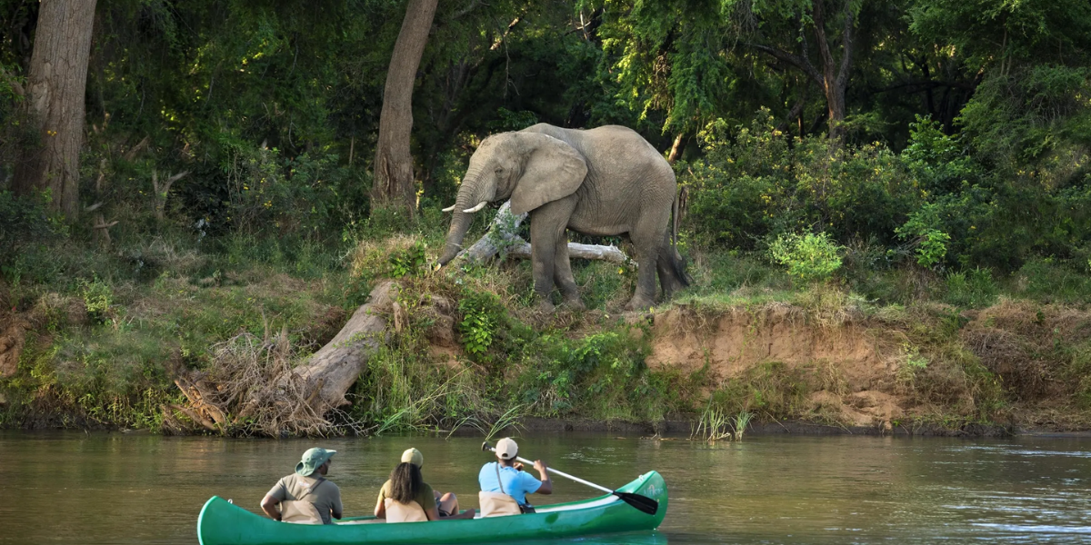 Zambezi National Park