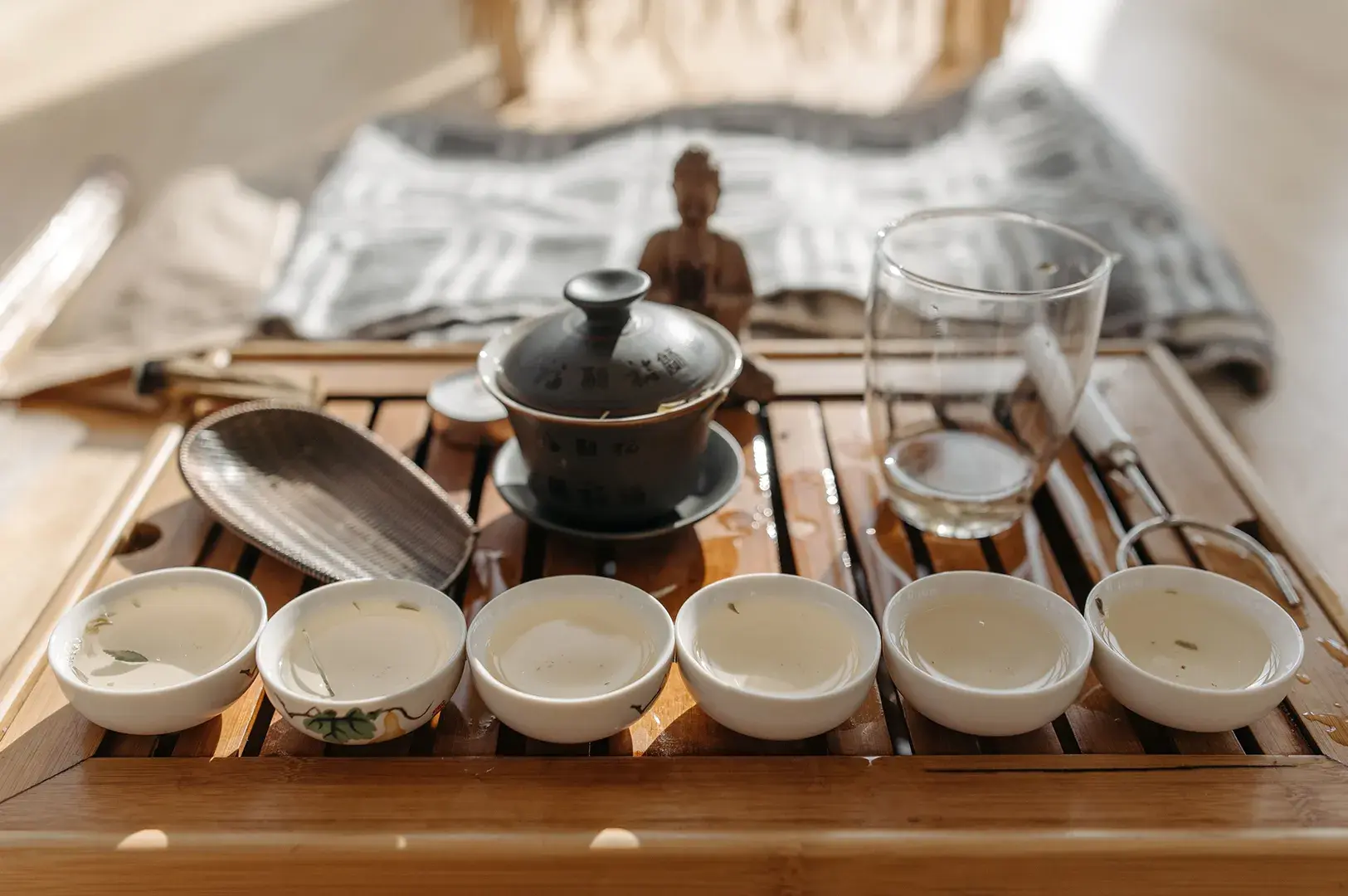 Traditional Gongfu tea tray with six filled white teacups and a gaiwan.