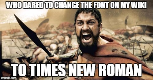 Times new roman font for the meme