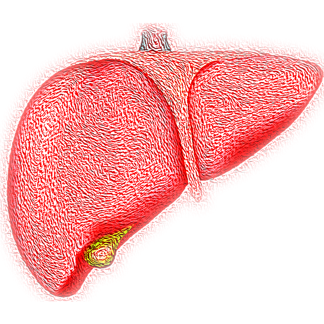 T4 to T3 conversion takes place in the liver. 