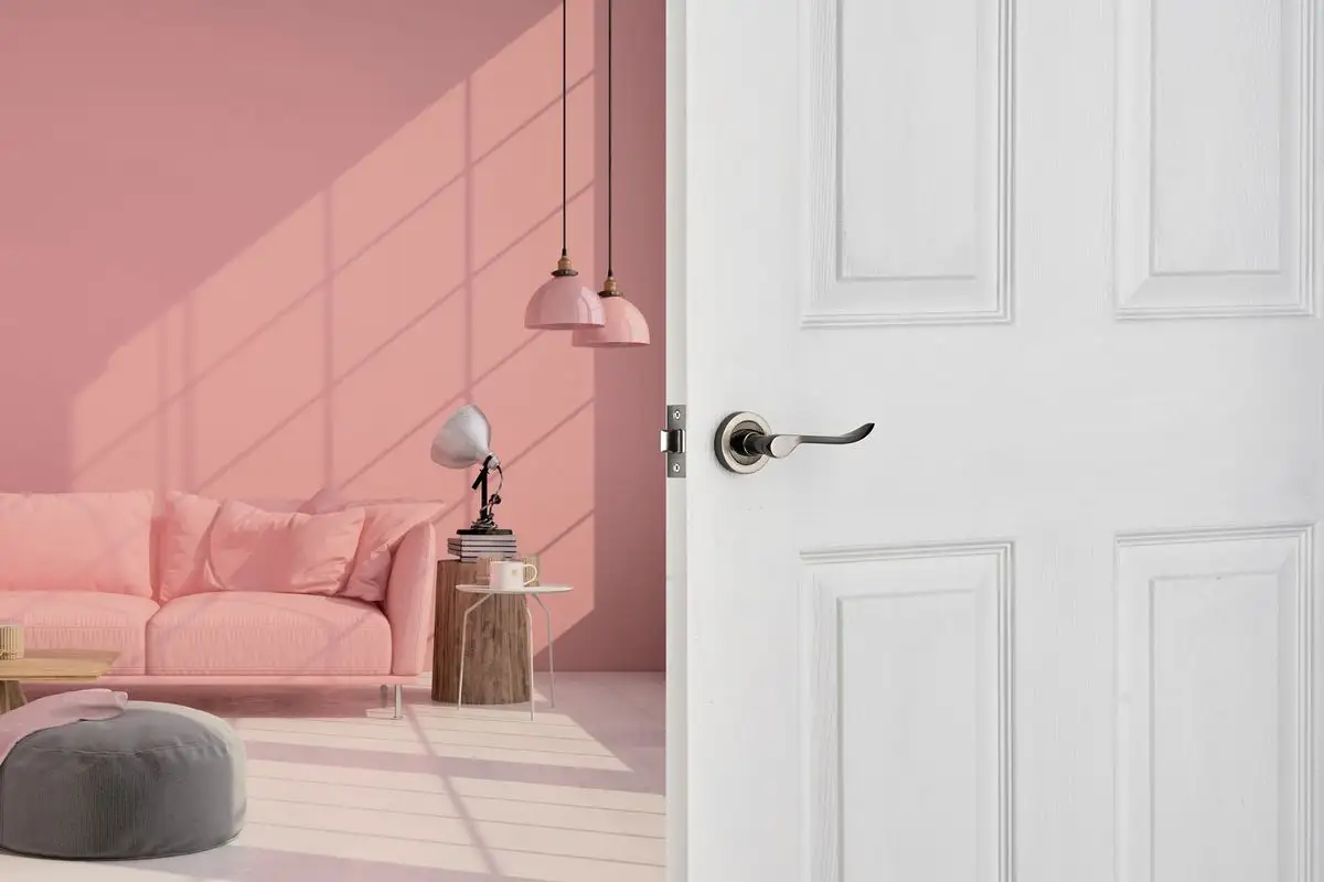 Traditional door - modern homes - modern door handle