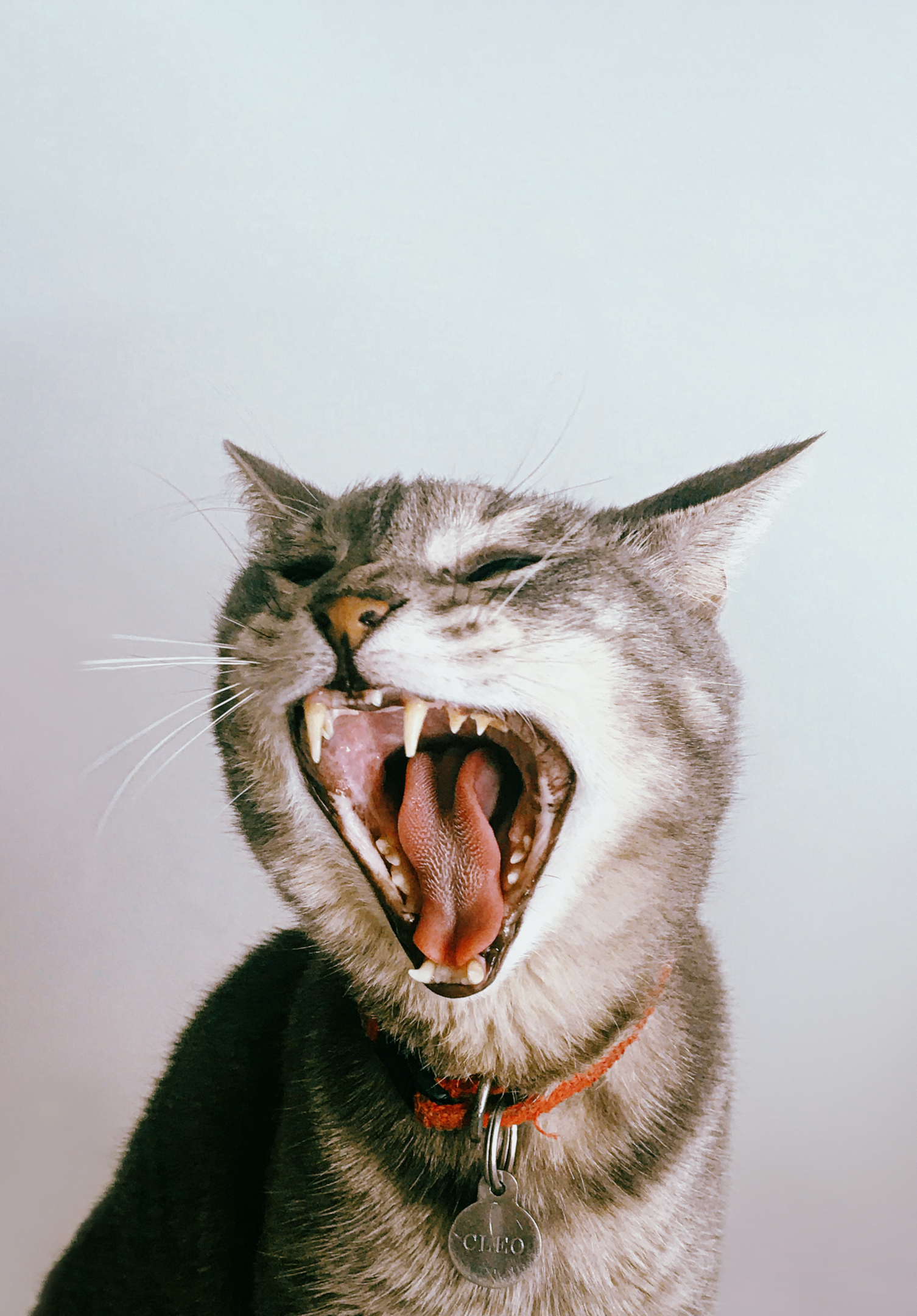 Being a digital marketing copycat always leads to yawns. Audiences connect with your brand for a reason, so put your uniqueness center stage in your social strategy. 