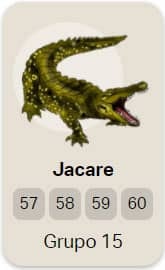jacaré no jogo do bicho
