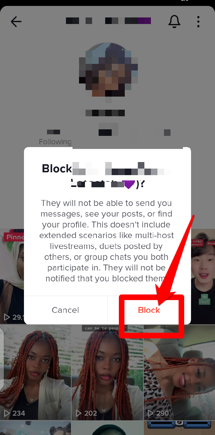 Screenshot showing the confirmation screen for when blocking someone on TikTok
