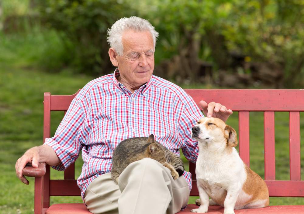 old man sitting while petting his dog