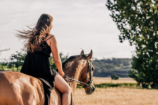 horseback riding, horse, woman