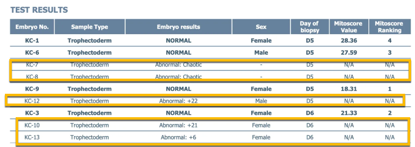 Example aneuploid test result
