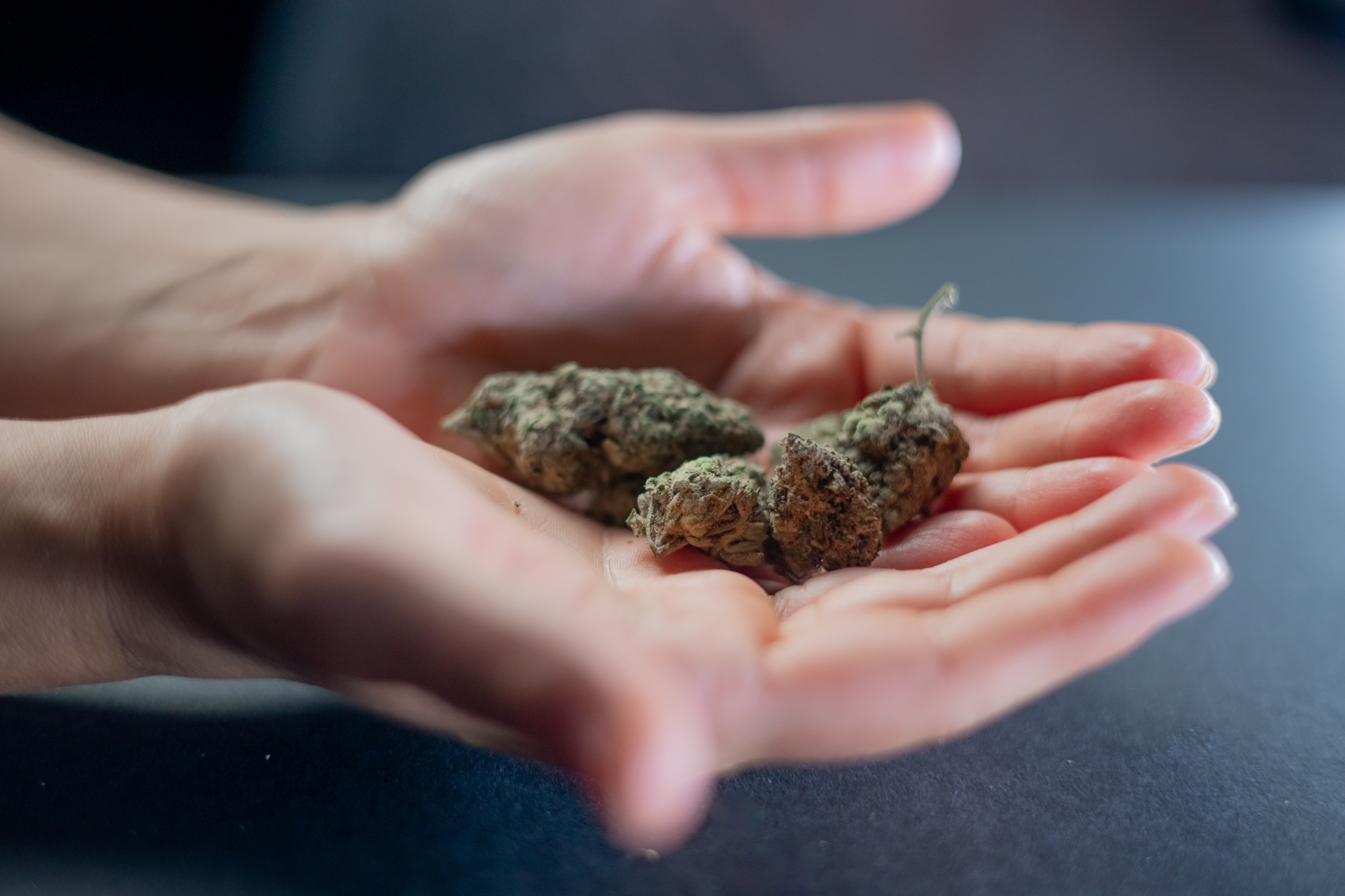 Cannabis Pop Culture is Incredibly Misleading