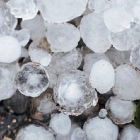 A close-up picture of many pieces of hail.