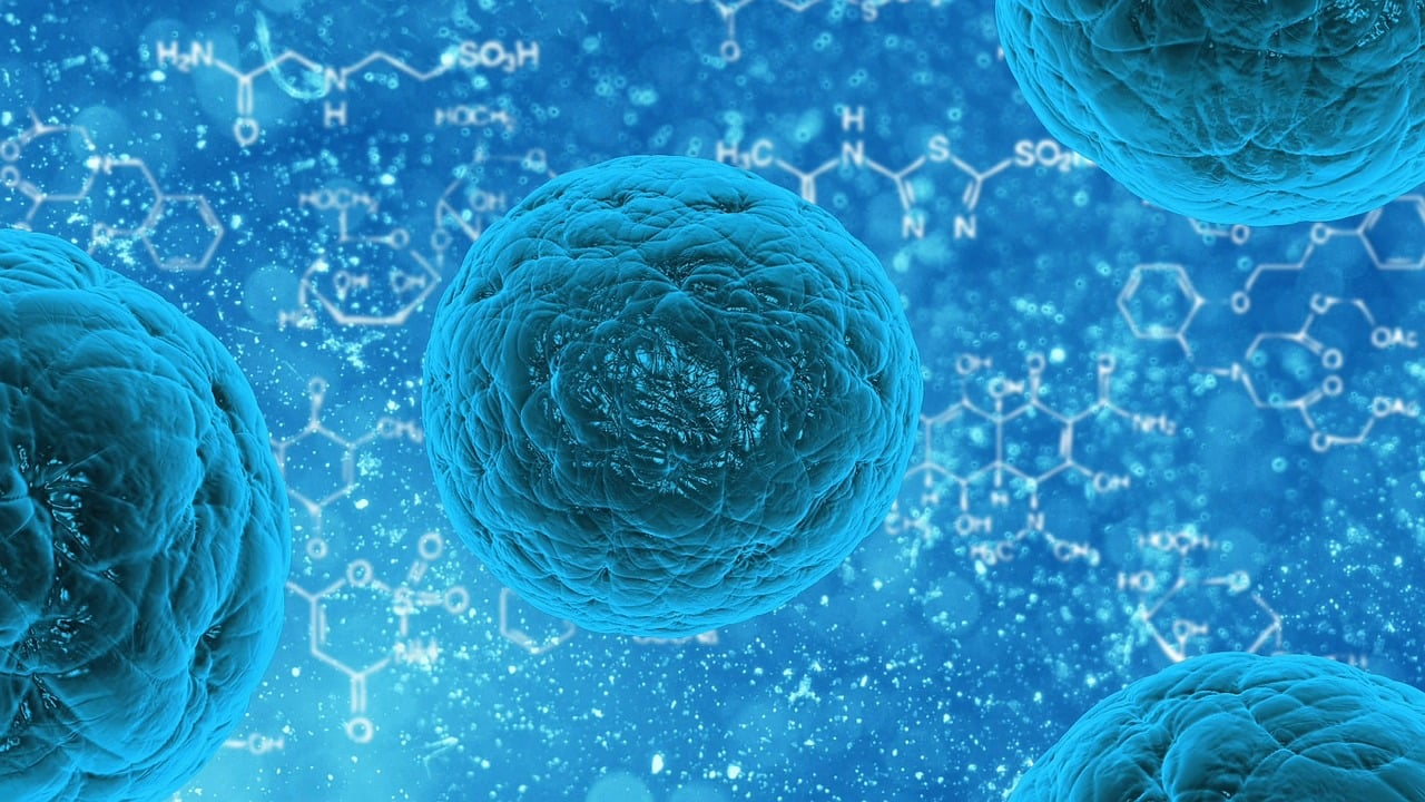 UV light disinfection