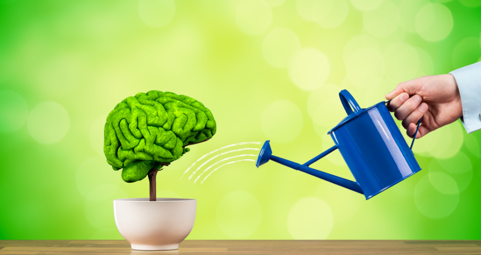 Simple Tips For Teacher Wellness And Self Care The Discovery Source simple-tips-for-teacher-wellness-and-self-care-the-discovery-source