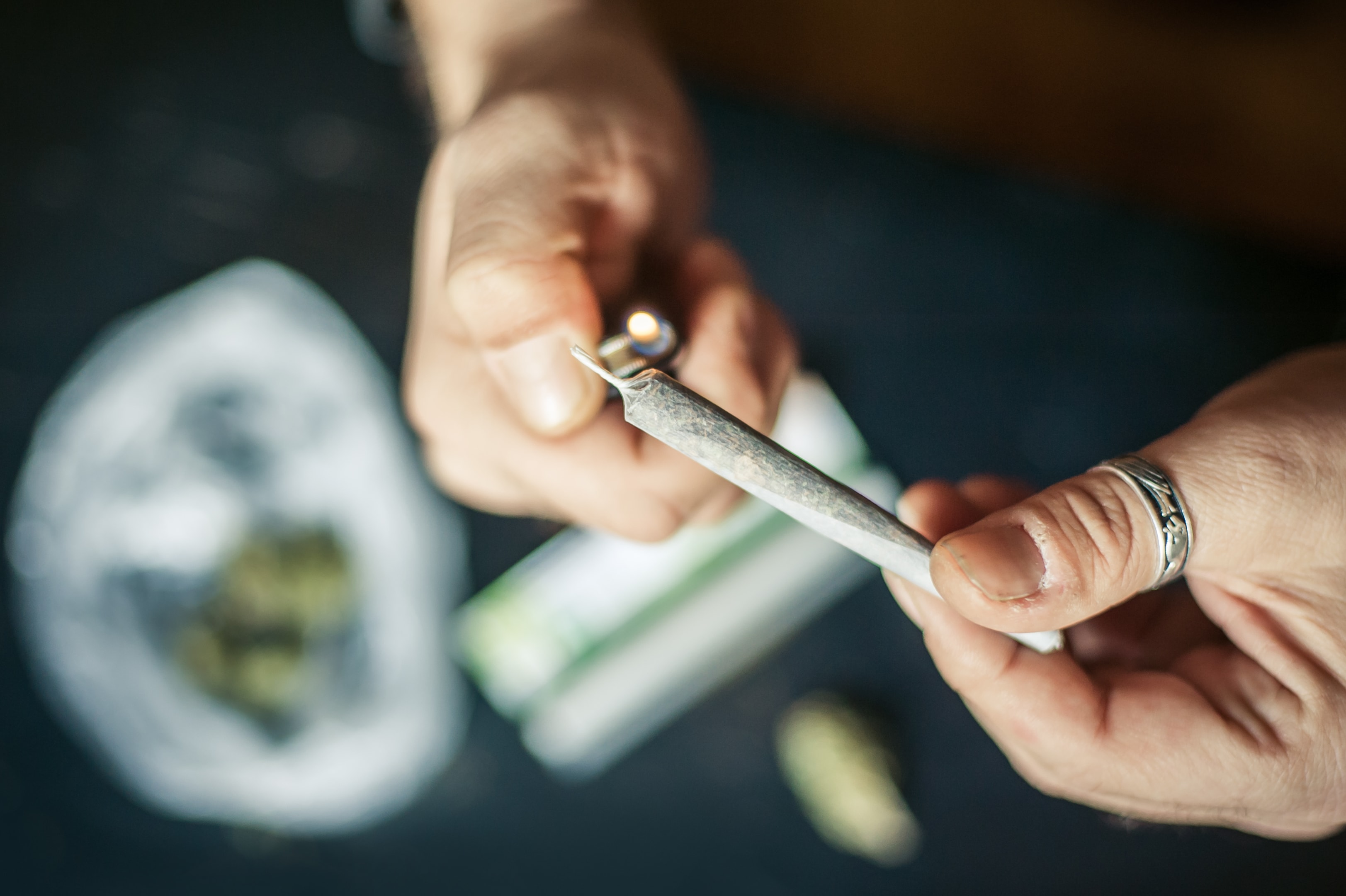 Where to Buy THCA Flower Online: Your Go-To Resource