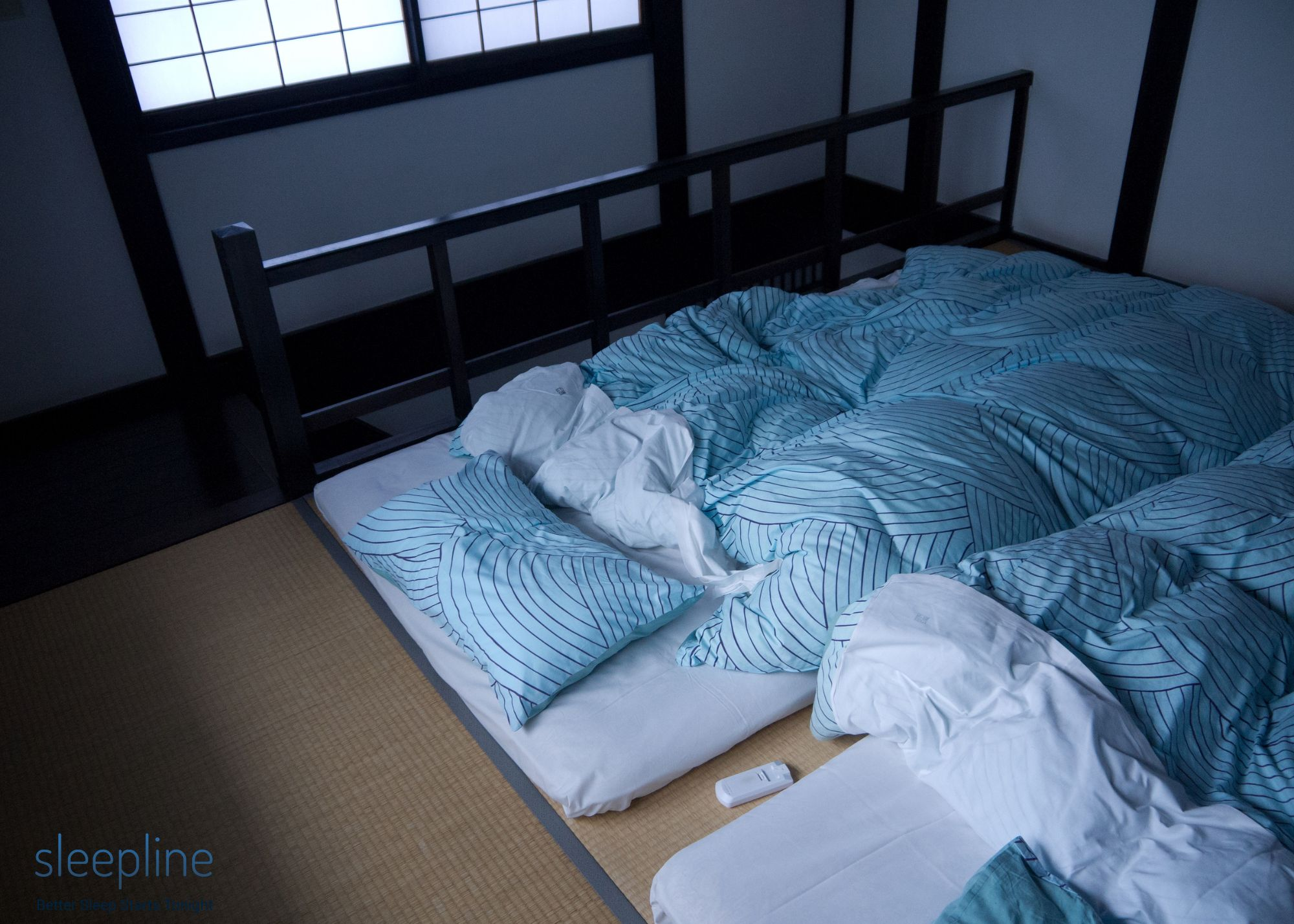 Japanese futon mattress on the floor