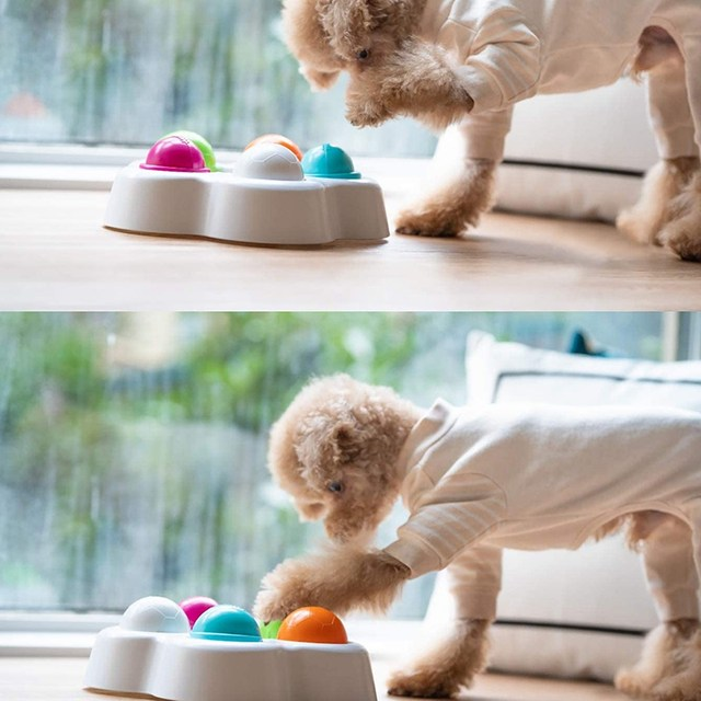 Squeaky Interactive Dog Toys for Boredom and Stimulating - Pet Clever