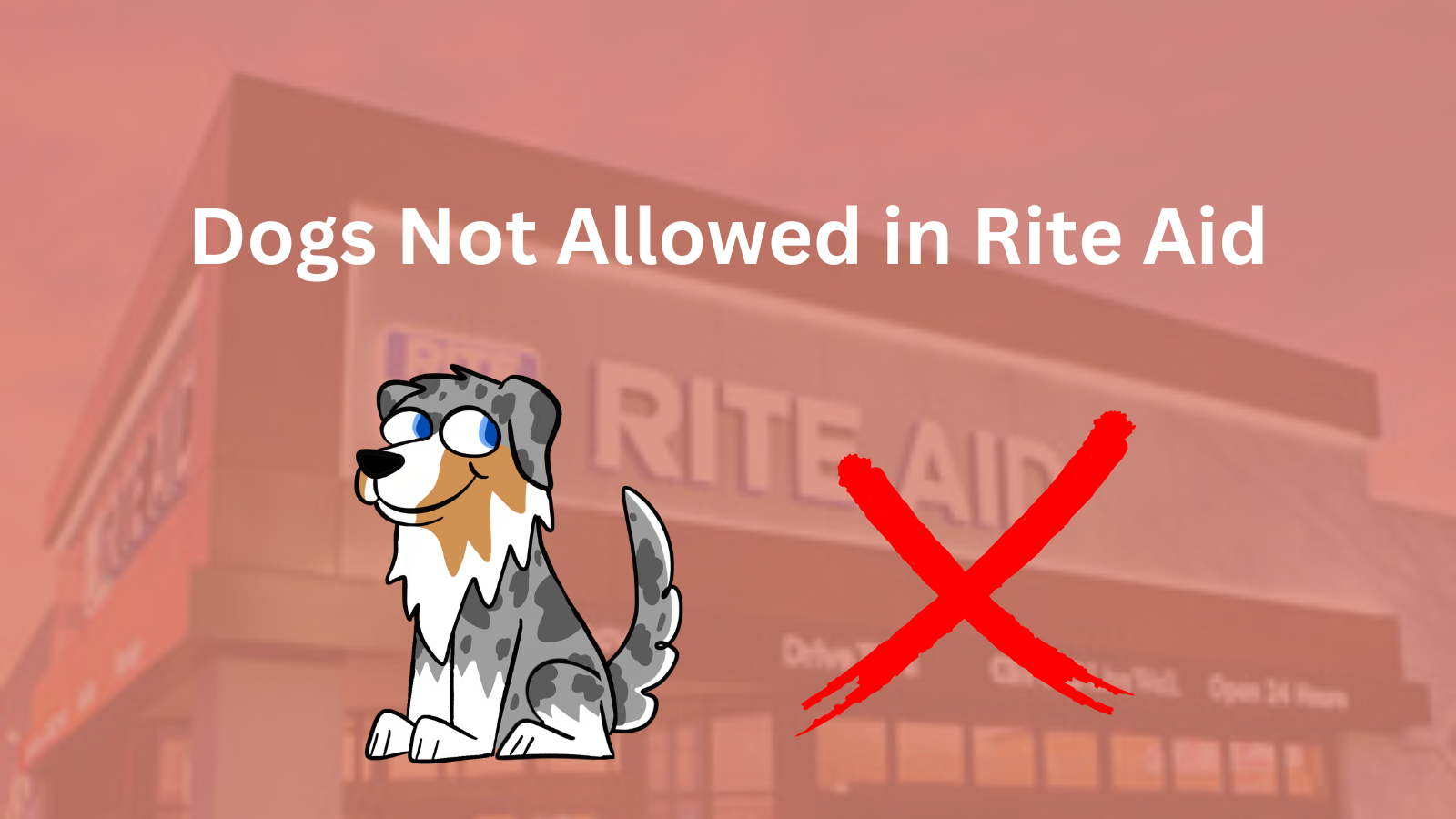 Image Text: "Dogs Not Allowed in Rite Aid"