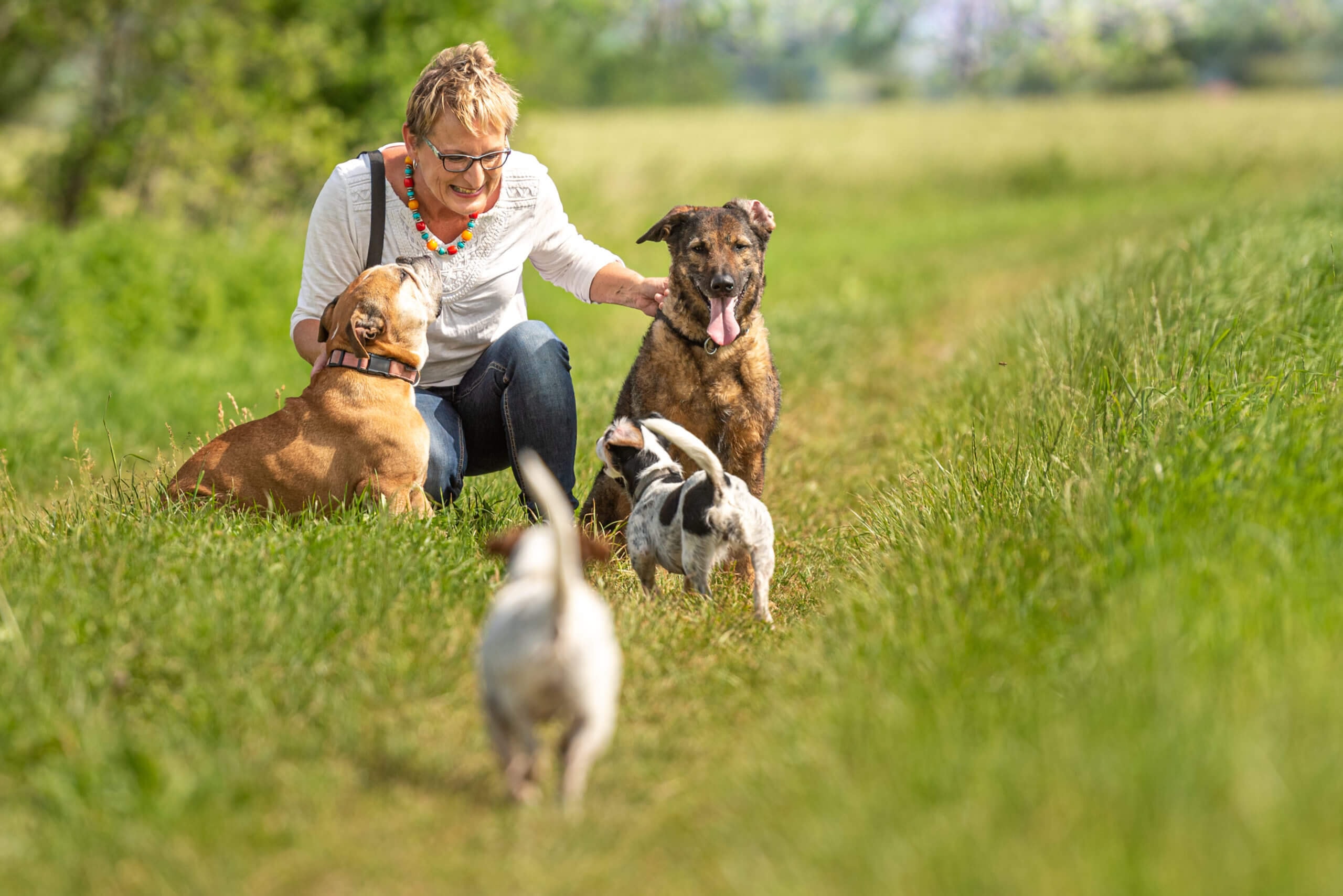 Bond with Multiple Canine