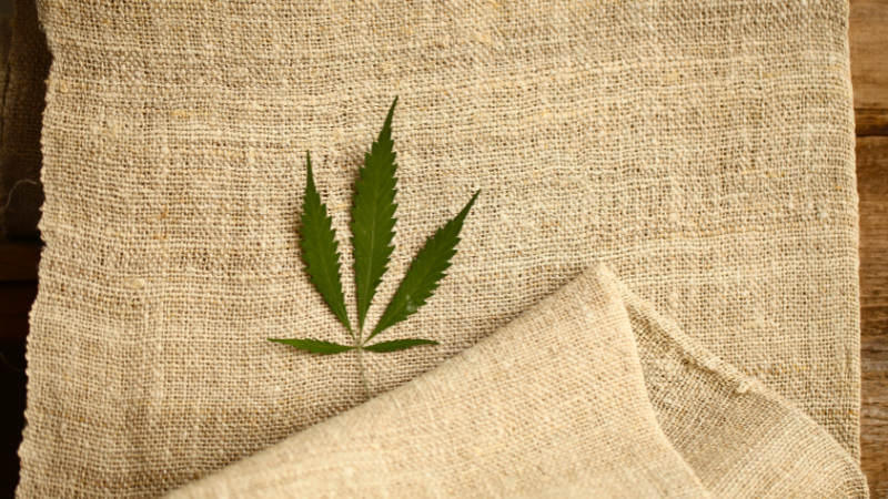 A close-up image of hemp fabric