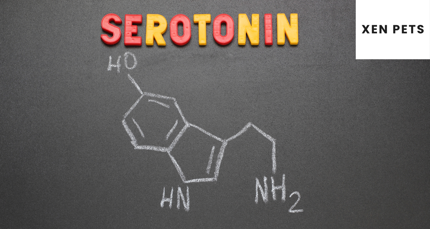 neurotransmitter serotonin