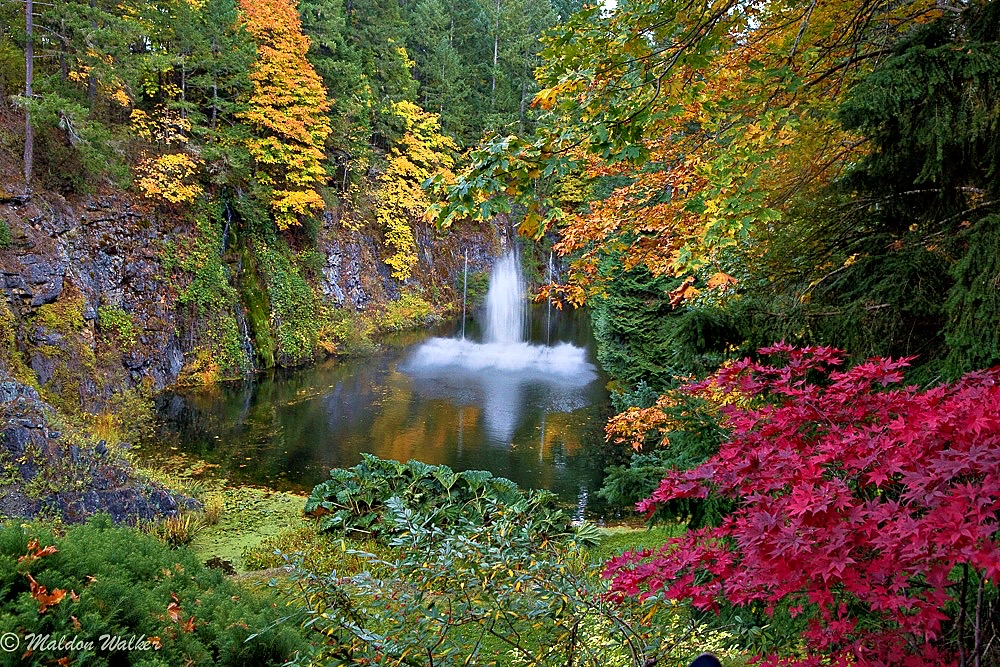 Autumn landscape enhanced picture