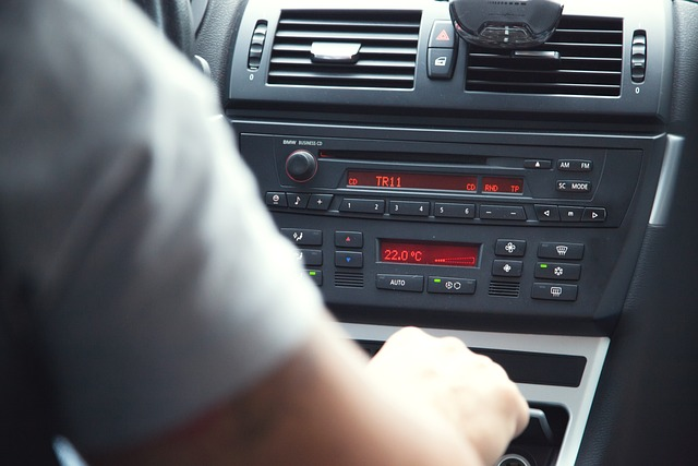 we have professional car stereo installation services
