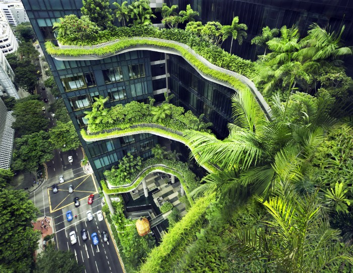 Incorporating Greenery in Landed House Design: A Singapore Perspective